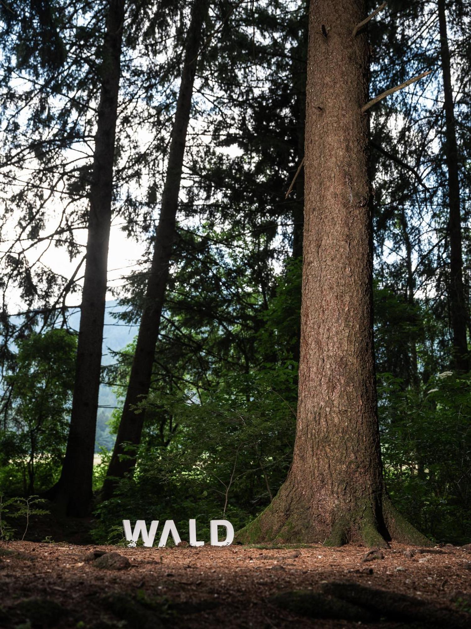 Frida Am Wald Hotel Rasùn di Sotto Exterior foto